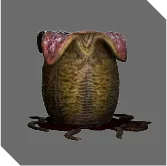 Ovomorph