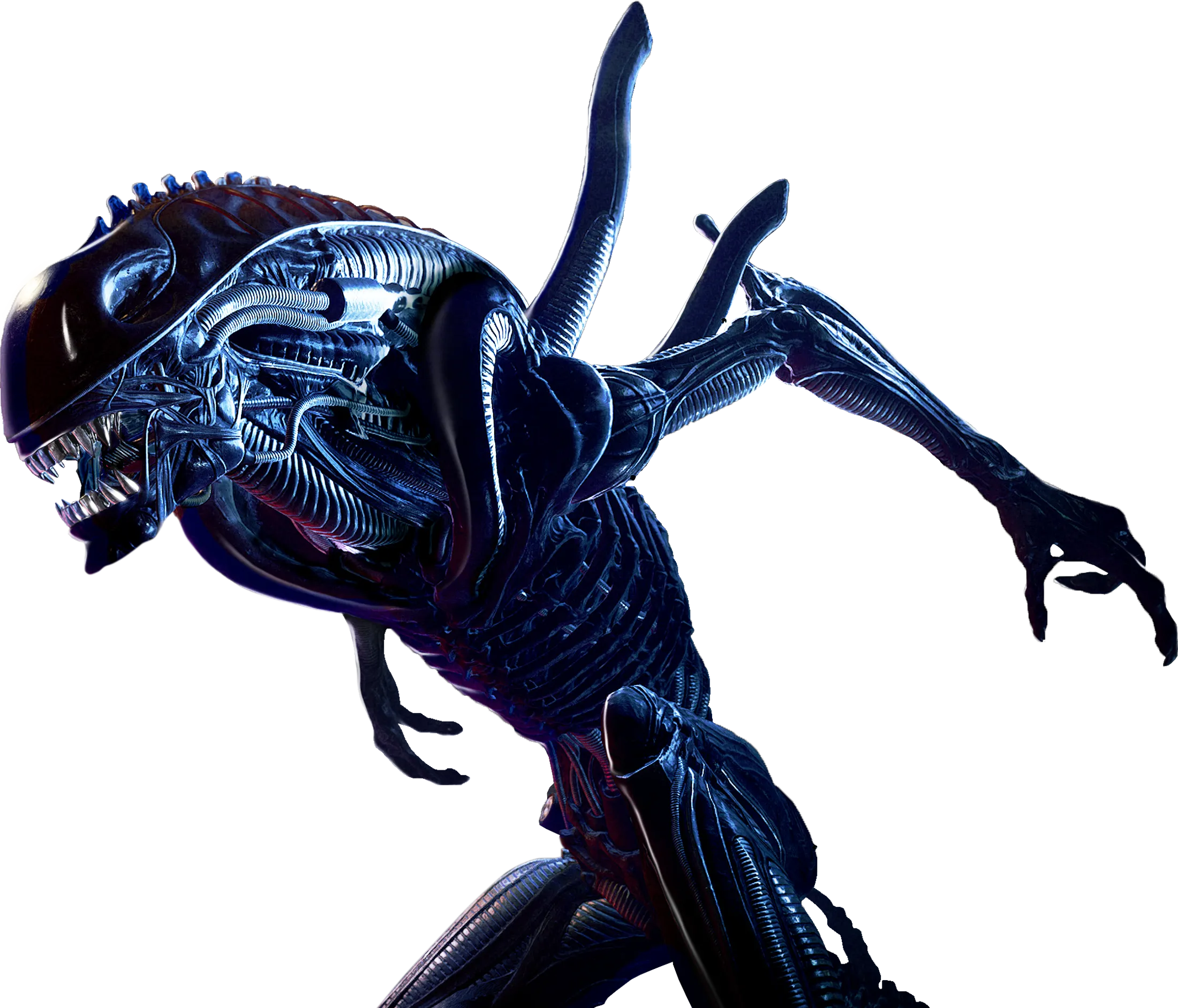 xenomorph-warrior-alt@2x.webp