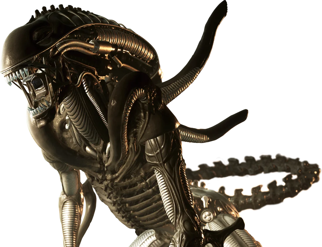 Xenomorph Warrior